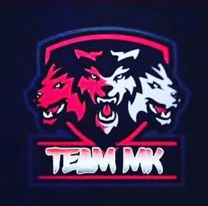 Meet your Posher, Teammkmusic